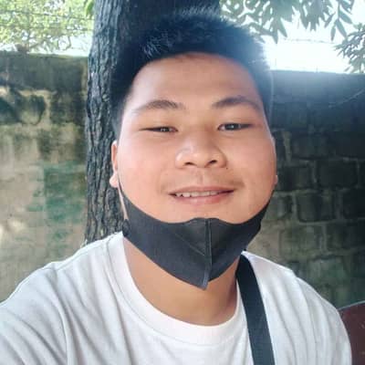 Elmark Labrador