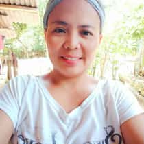 Nedam
