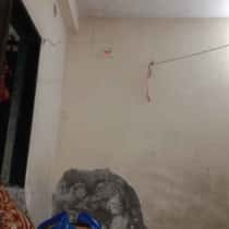 shaileshkalshriya0@gmail