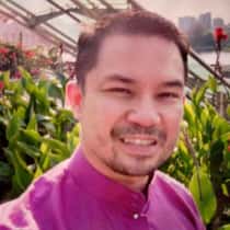 Roland mark