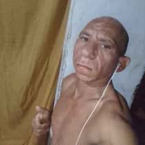 elvisfaustinosilva123@gm