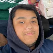 AlxnR