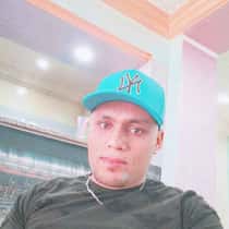 zied