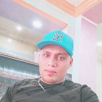 zied