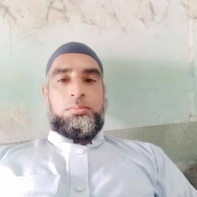 gul