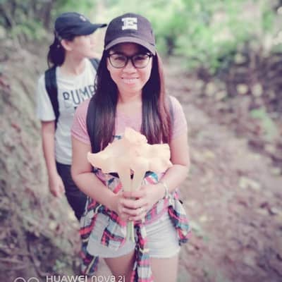 aiwei17
