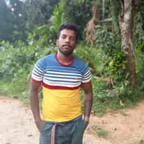 picha