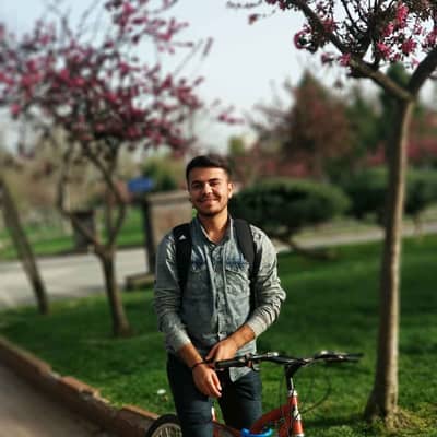 Amed
