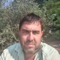 Ivo