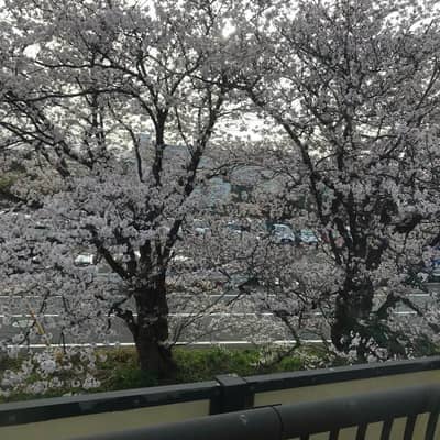 モカ