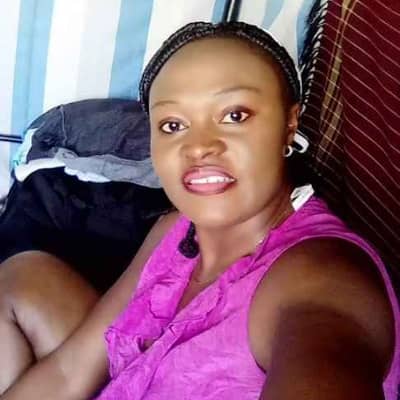 lovice