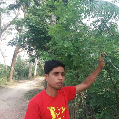 Mehedi Hasan Babu