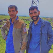 Damla