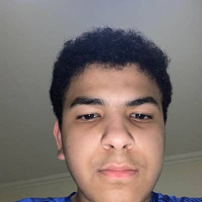 dmd