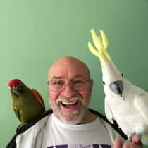 Jerry