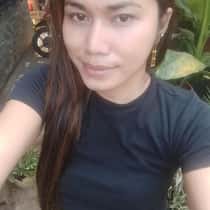 linee