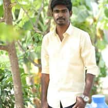 Ravivek