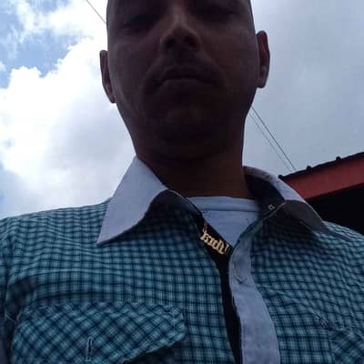 single honest guy