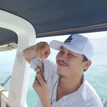 dolphin