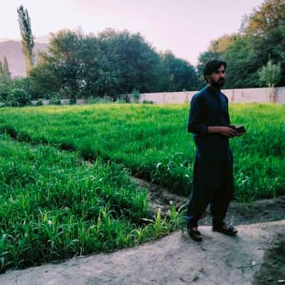 shahid