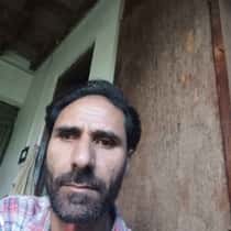 bashir