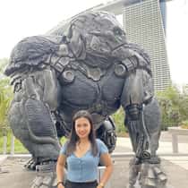 joylady