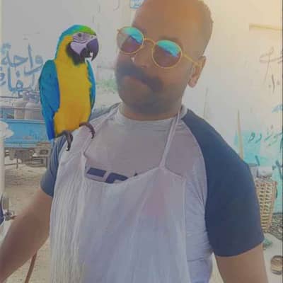 ابو شنب
