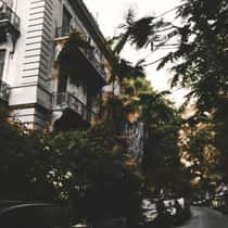 TICO