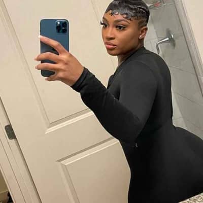 verrissa
