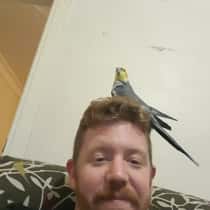 Sean