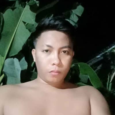 Bogs
