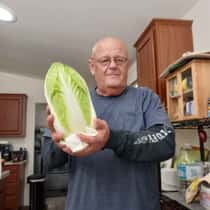 Don