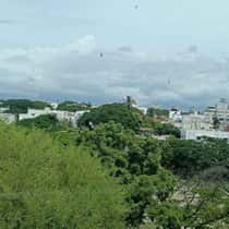 saba