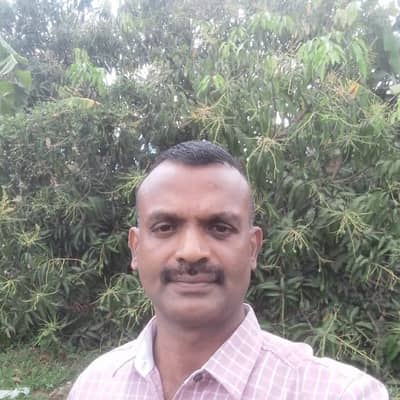 Syed