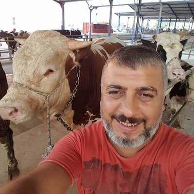 Dogan