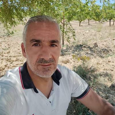 vedat