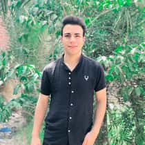 Fares