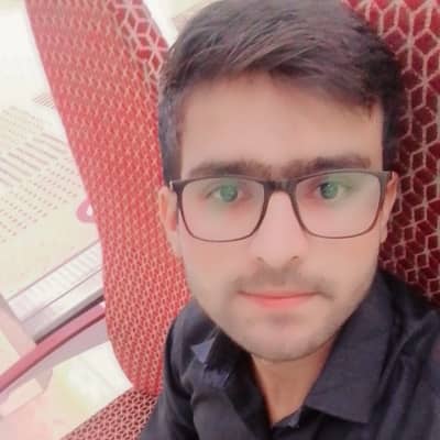 Ali Raza 